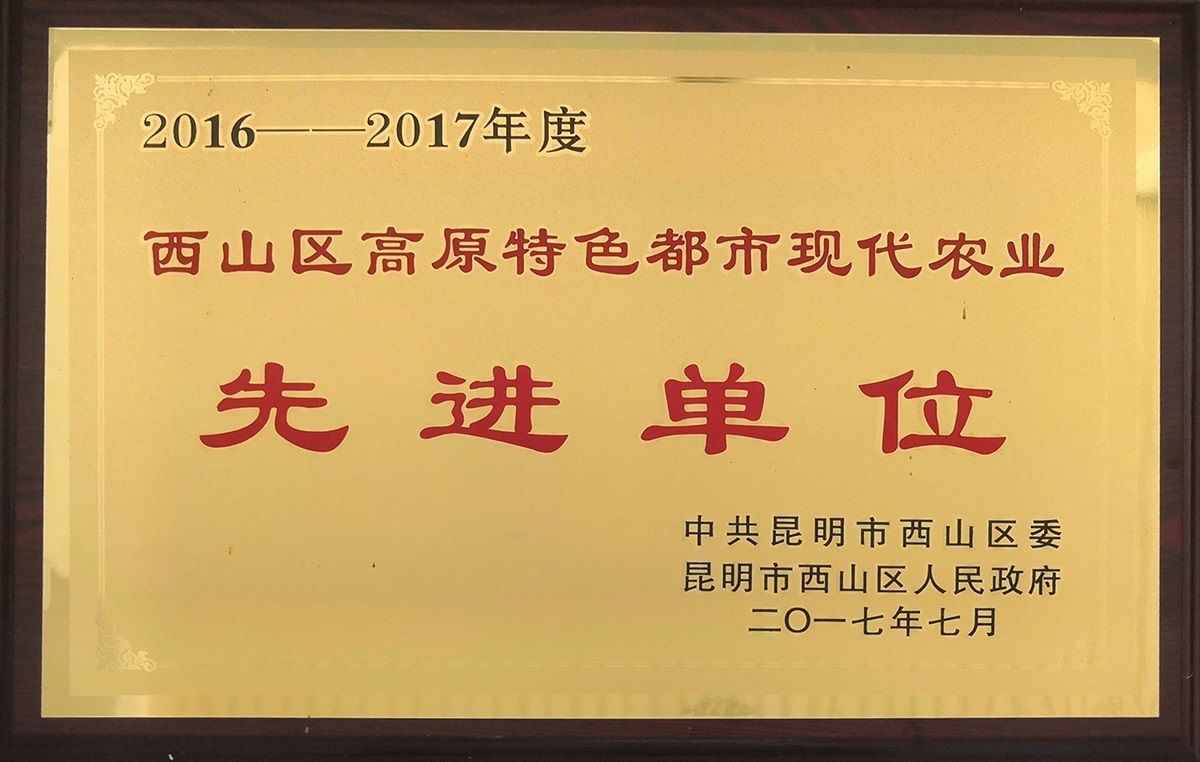 高原特色都市现代化农业先进单位1.jpg