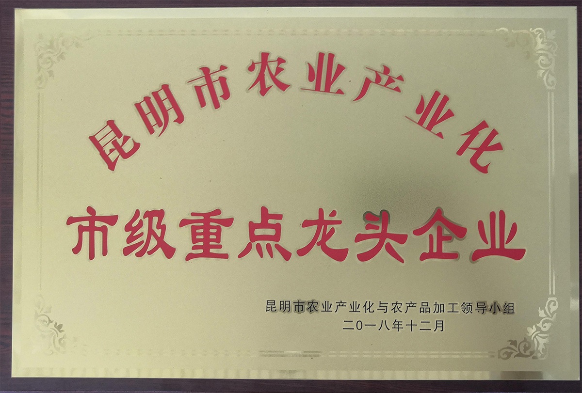 市级重点龙头企业1.jpg