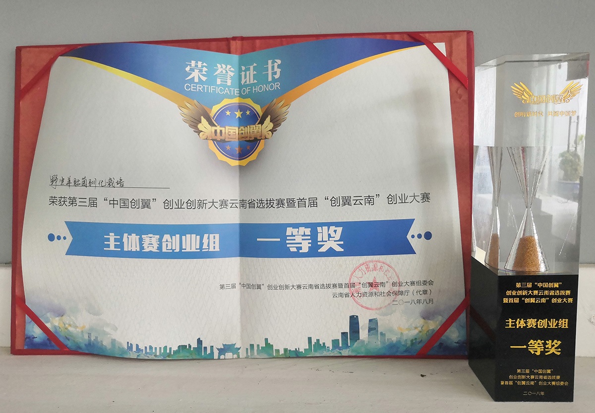 中国创翼 野生羊肚菌驯化栽培1.jpg