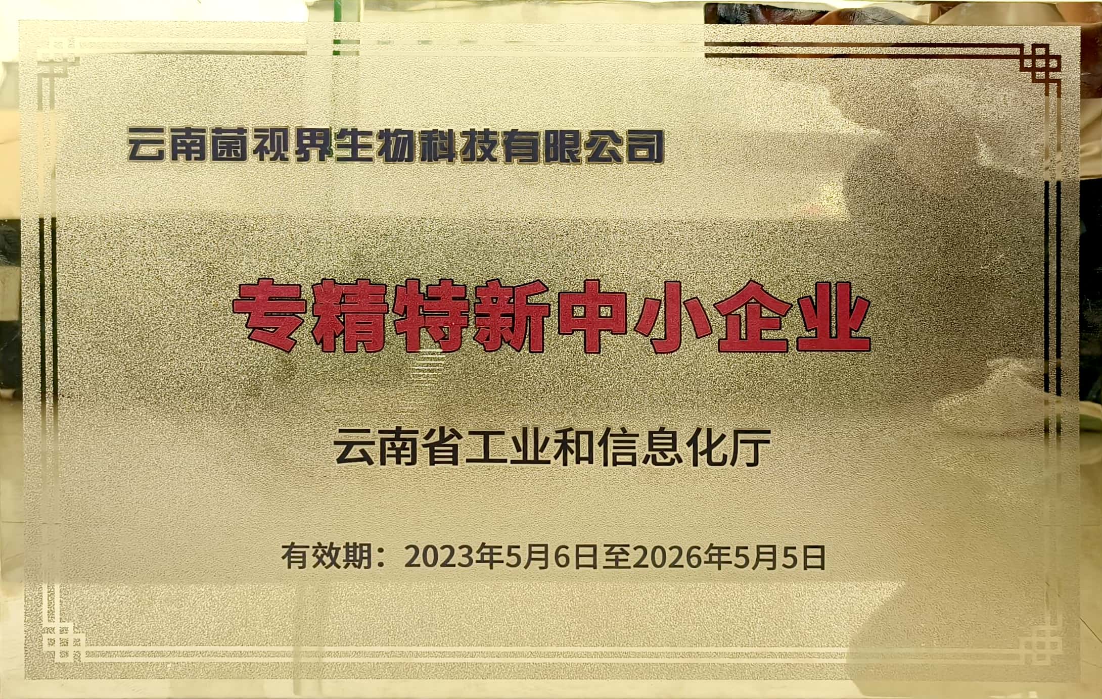 专精特新中小企业.jpg